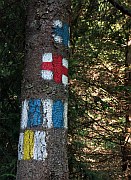 Trail markers near Poiana Brasov