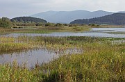 Cerknica Lake